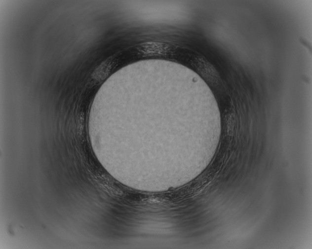 X0000097650737200803280928