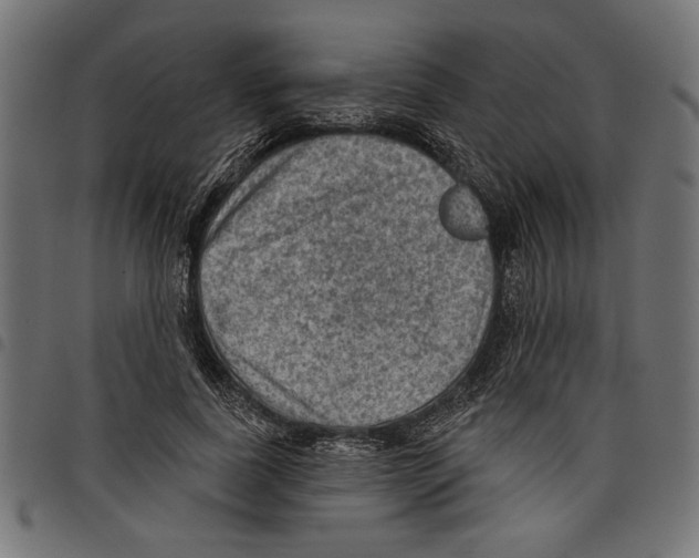 X0000097650739200803280928