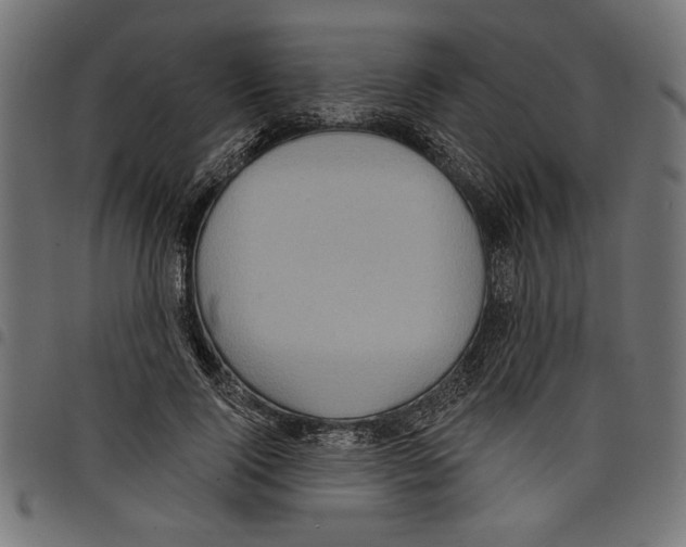 X0000097650740200803280928