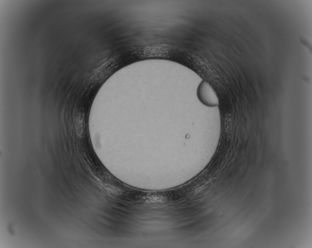 X0000097650741200803280928