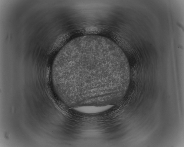 X0000097650742200803280928