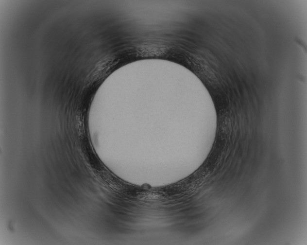 X0000097650743200803280928