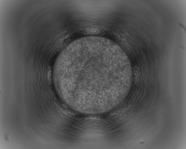 X0000097650745200803280928