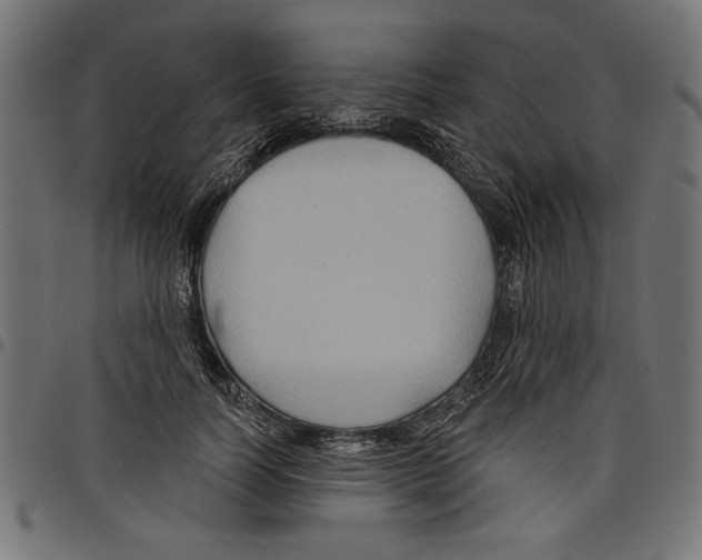 X0000097650746200803280928