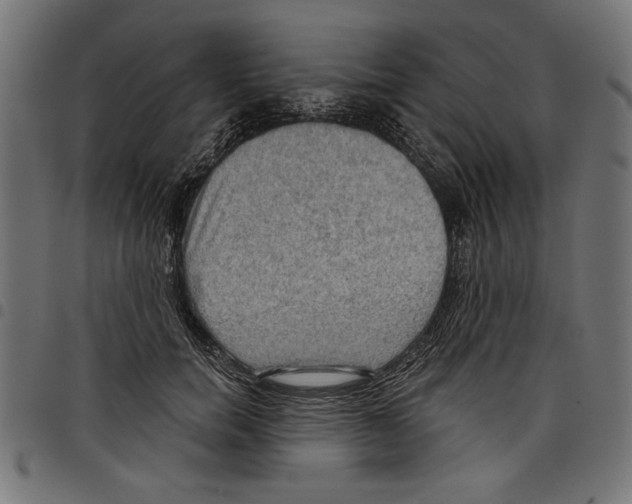 X0000097650750200803280929