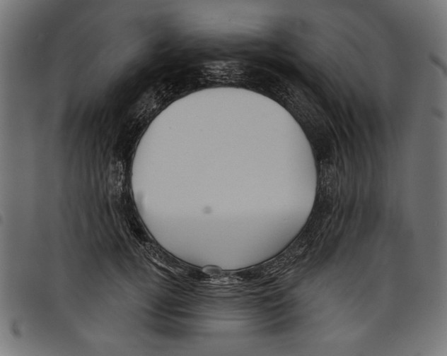 X0000097650752200803280929