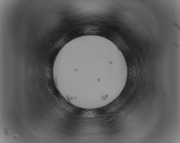 X0000097650755200803280929