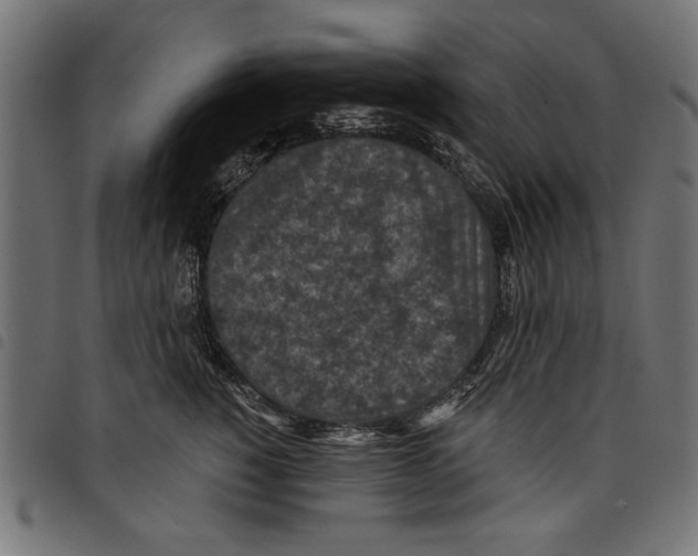 X0000097650760200803280929