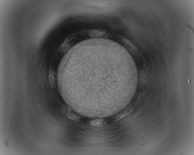 X0000097650761200803280929