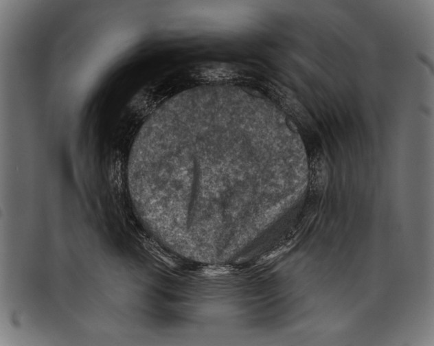 X0000097650762200803280929