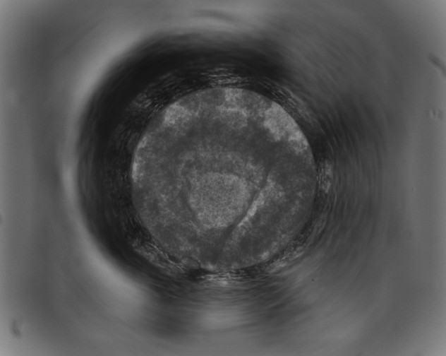 X0000097650763200803280929