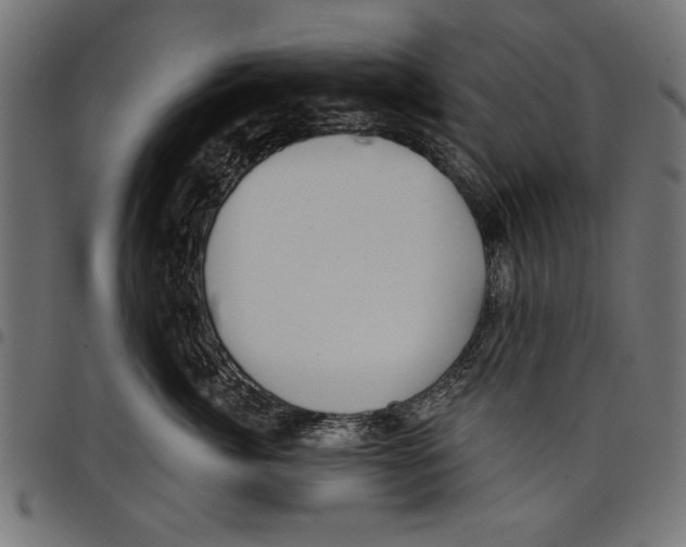 X0000097650764200803280929