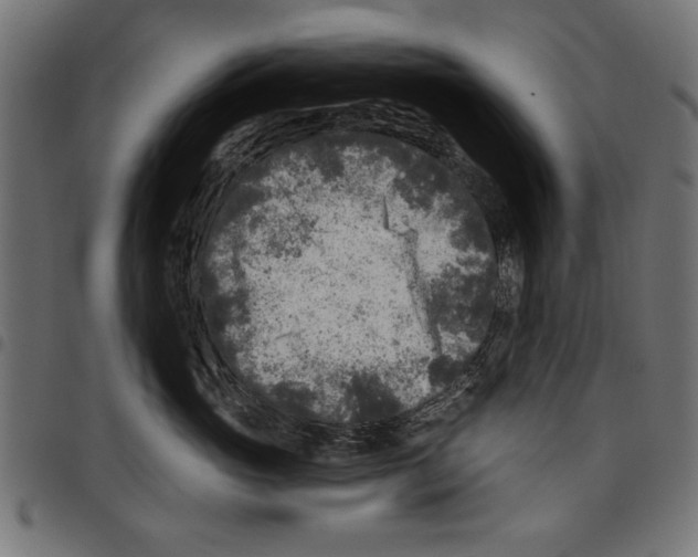 X0000097650765200803280929