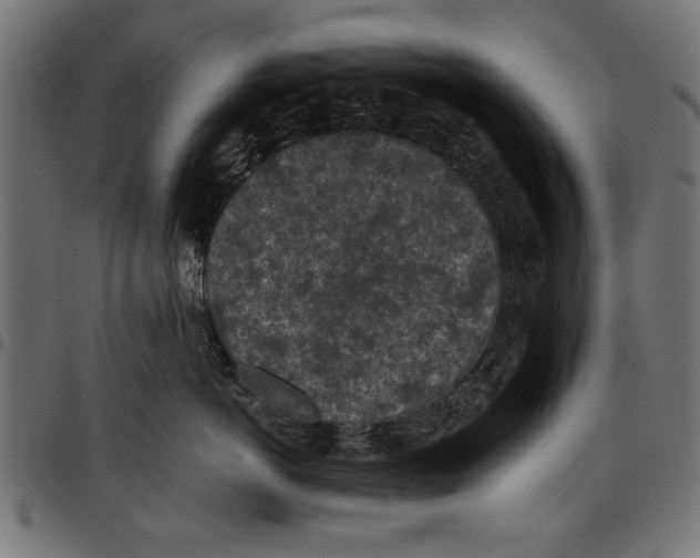 X0000097650766200803280929