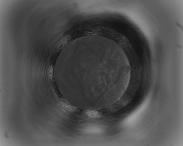 X0000097650767200803280929