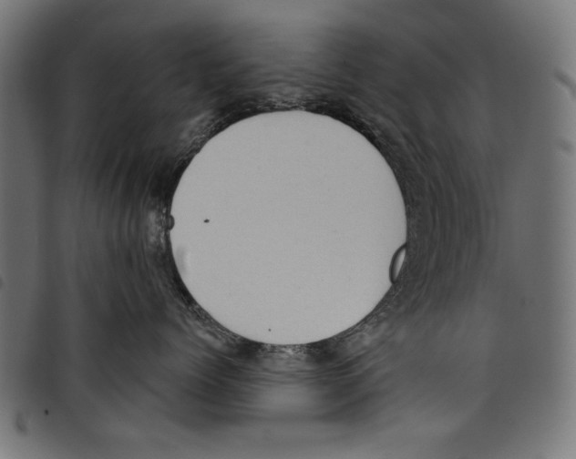 X0000097650768200803280929