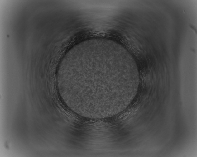 X0000097650769200803280928