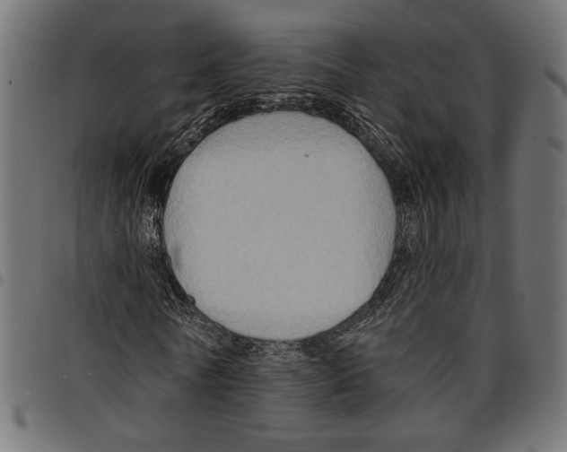 X0000097650770200803280928