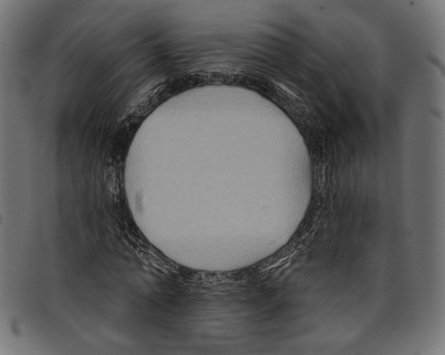 X0000097650774200803280928