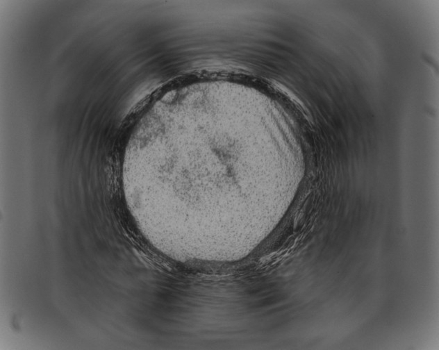 X0000097650775200803280928