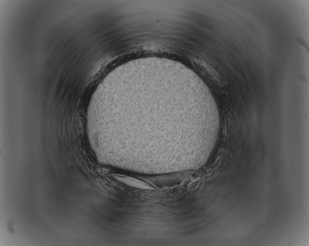 X0000097650776200803280928