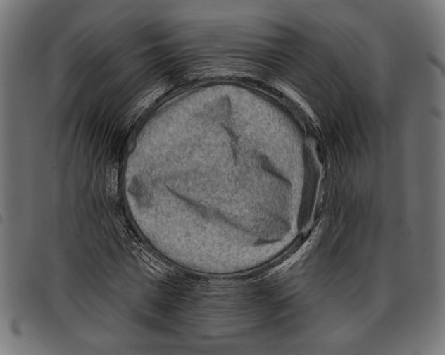 X0000097650777200803280928