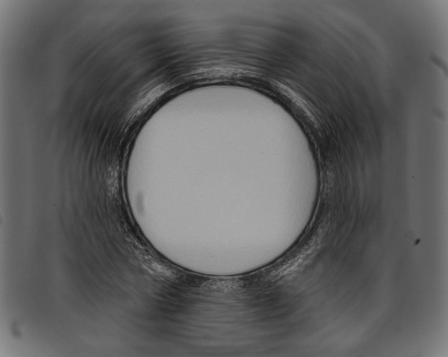 X0000097650778200803280928