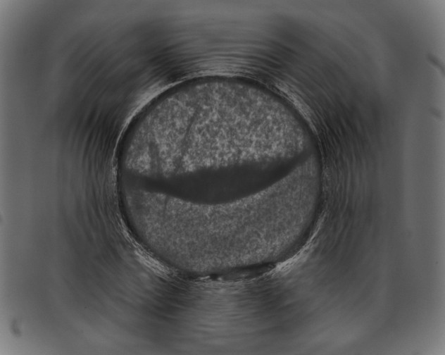 X0000097650779200803280928