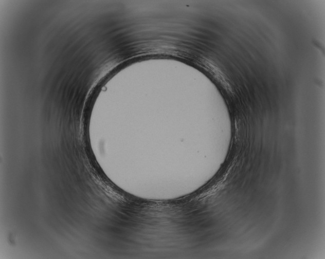 X0000097650780200803280928