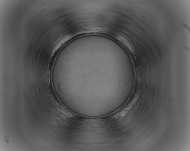 X0000097650781200803280928