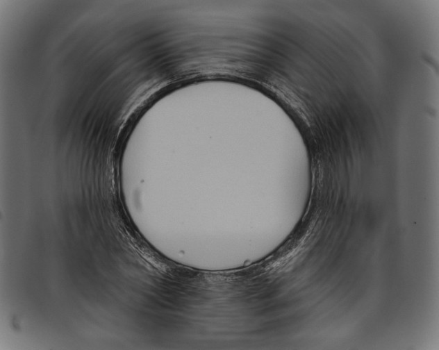 X0000097650782200803280928