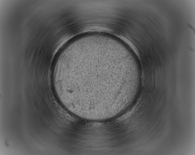 X0000097650783200803280928