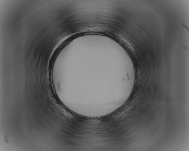 X0000097650784200803280928