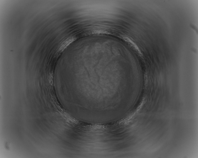 X0000097650785200803280928