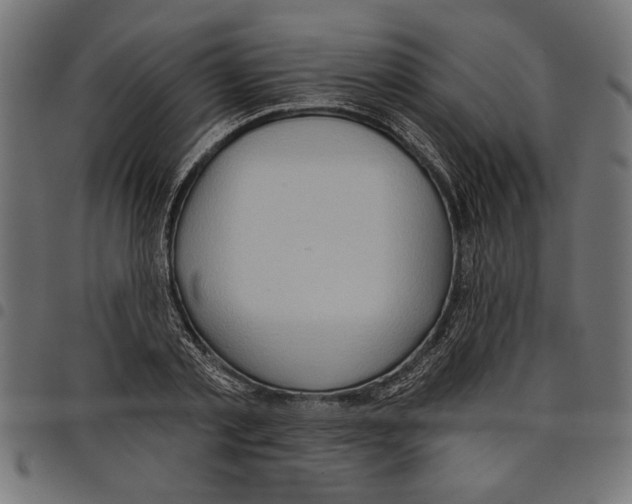 X0000097650789200803280928