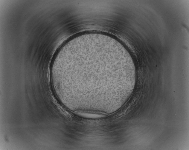 X0000097650791200803280928