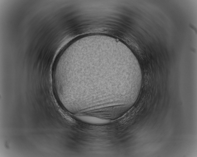 X0000097650792200803280928