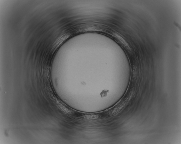 X0000097650793200803280928