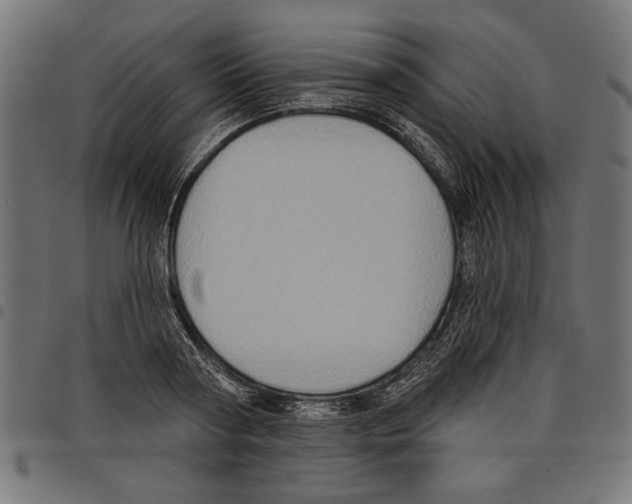 X0000097650794200803280928