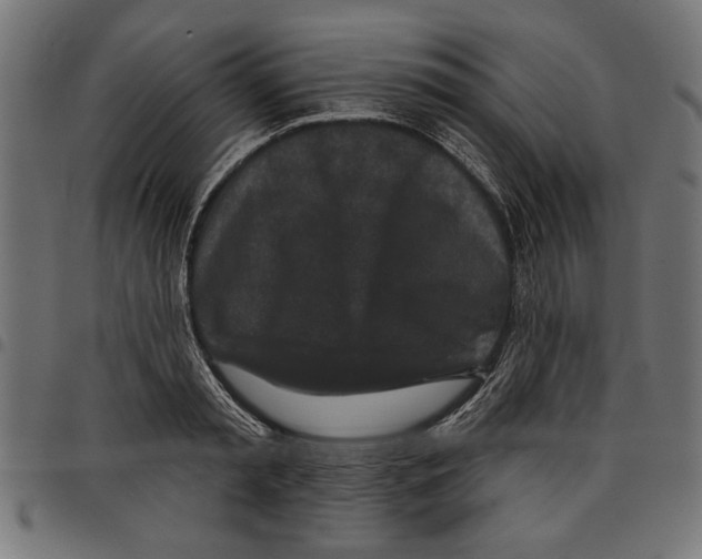 X0000097650797200803280928