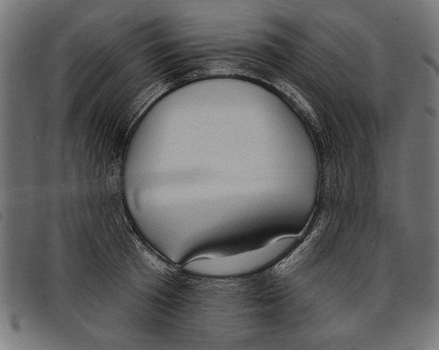 X0000097650801200803280928