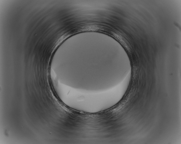 X0000097650802200803280928