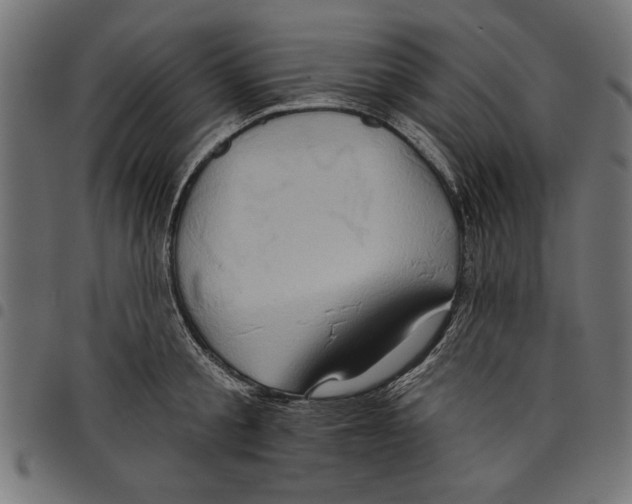 X0000097650805200803280928