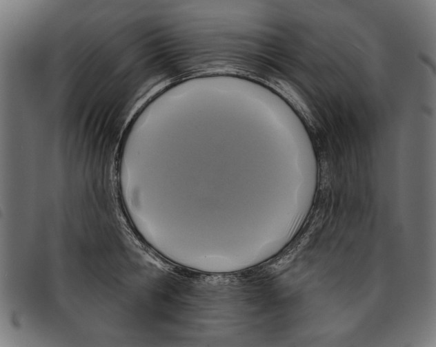 X0000097650806200803280928