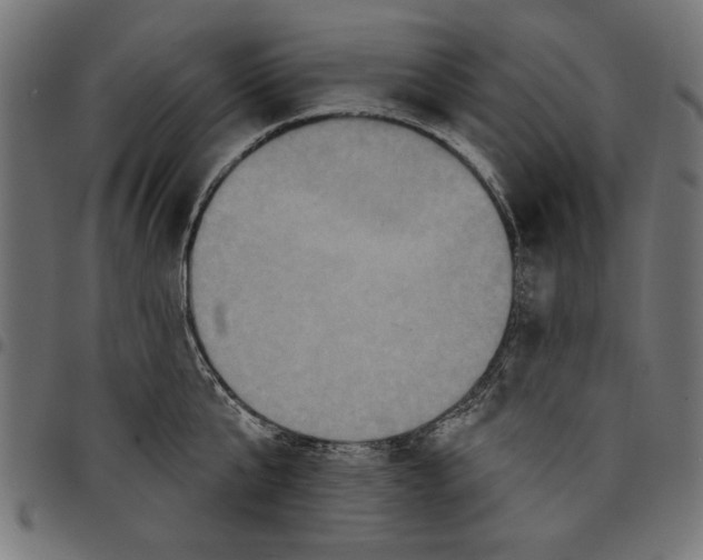 X0000097650807200803280928