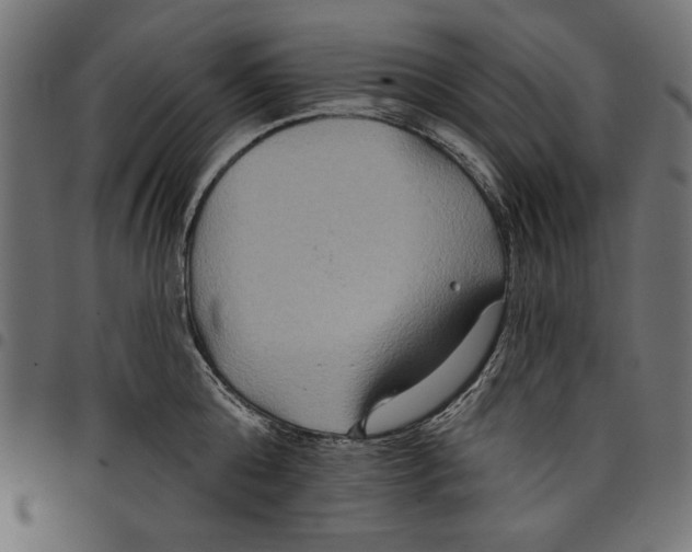 X0000097650808200803280927