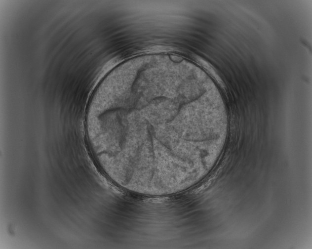 X0000097650810200803280927