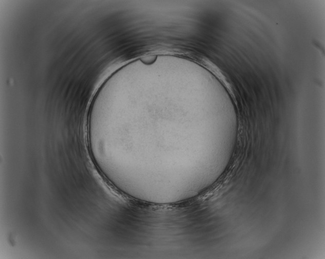 X0000097650811200803280927