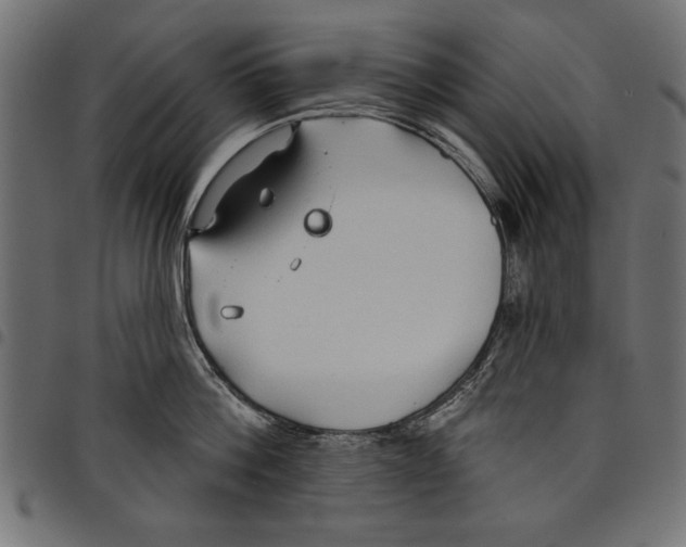 X0000097650812200803280927