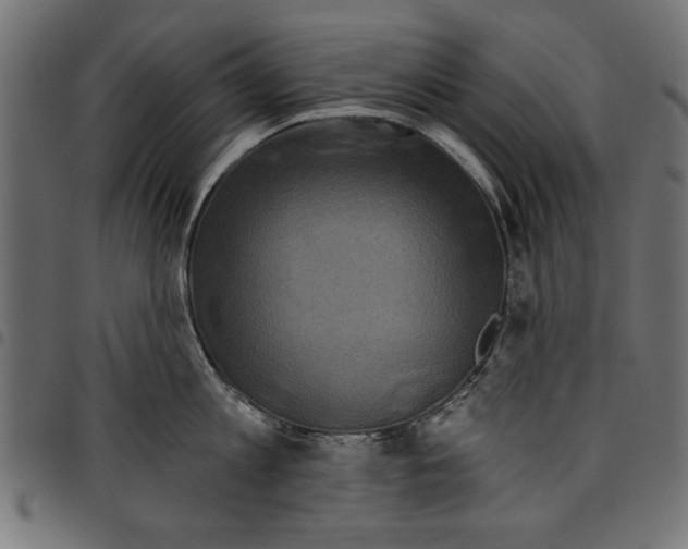 X0000097650813200803280927